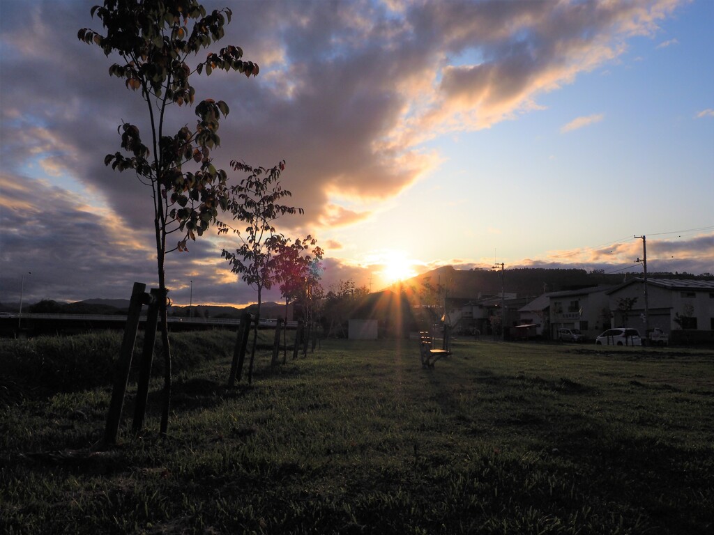 夕暮れの公園