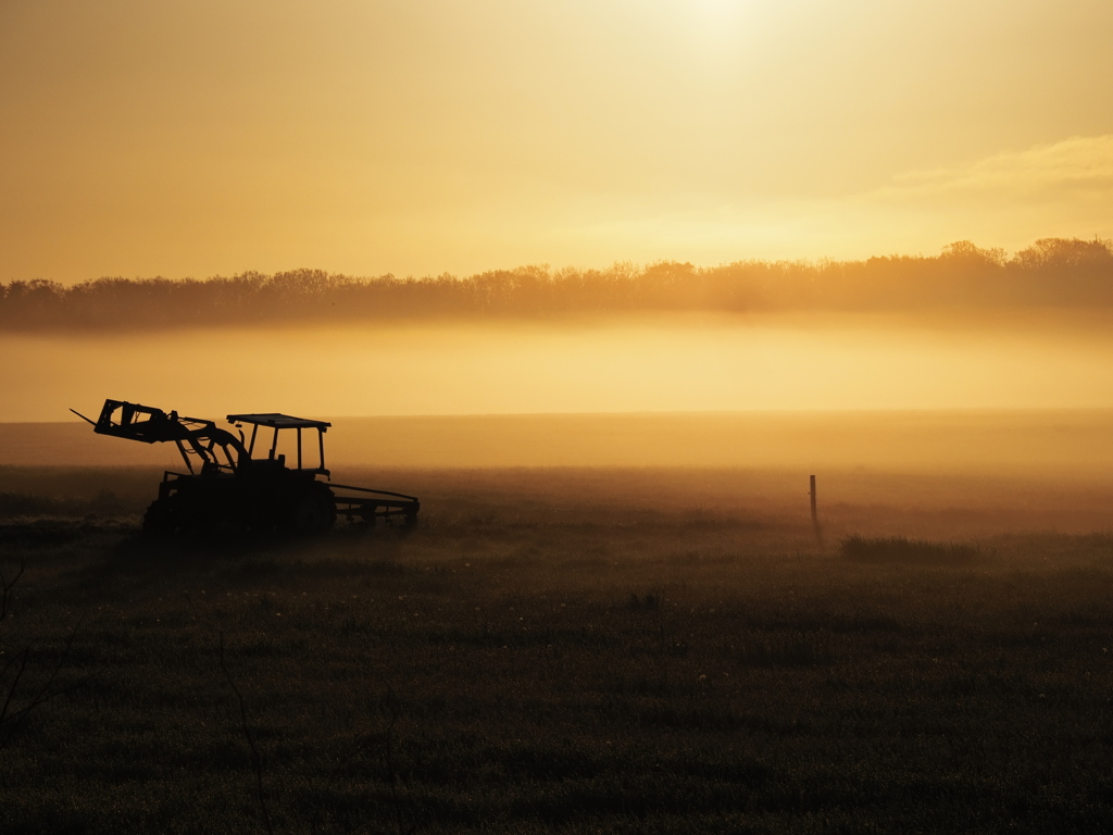 朝霧の農景