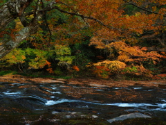 遊水峡の紅葉