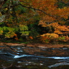 遊水峡の紅葉