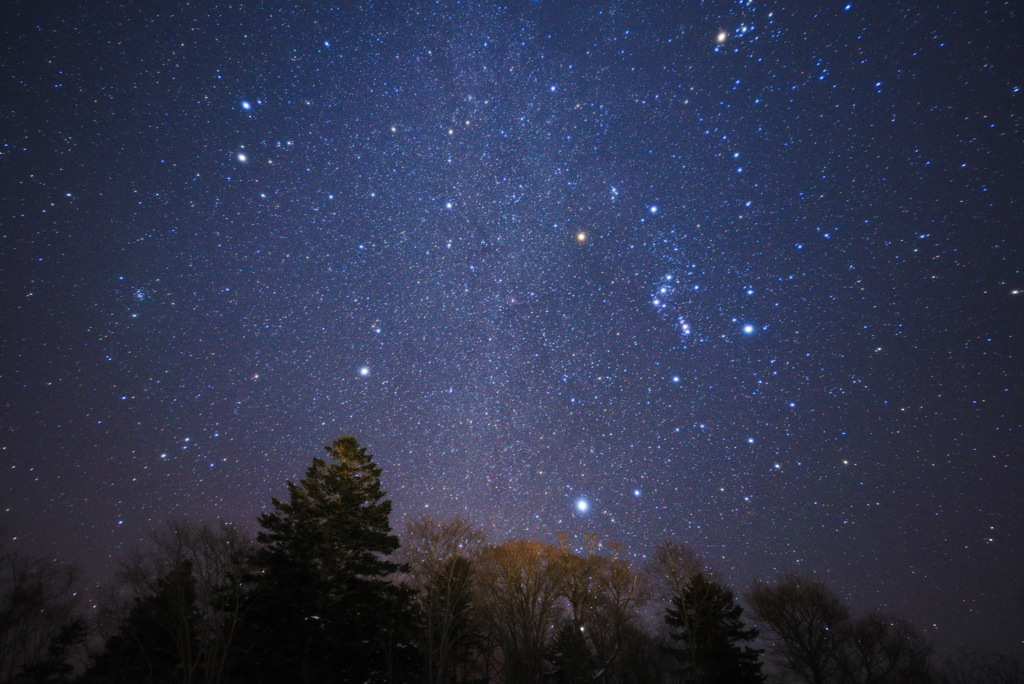 冬の星座達