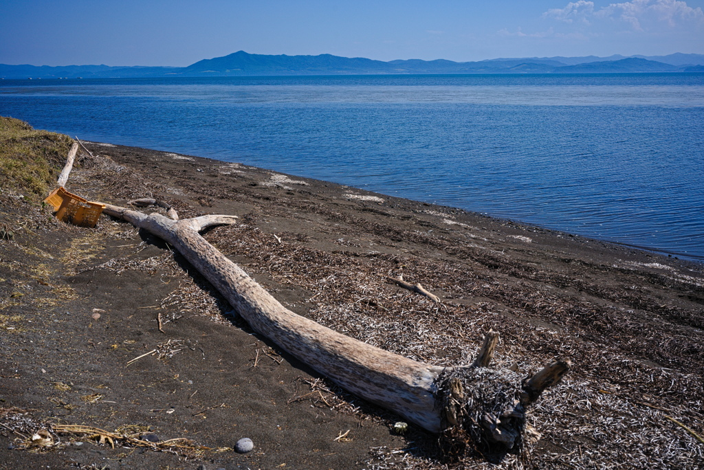 流木とサロマ湖