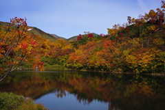 大雪高原温泉の紅葉5