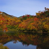 大雪高原温泉の紅葉5