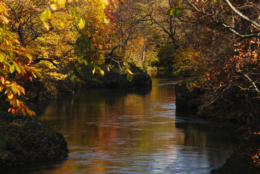 錦仙峡の紅葉1