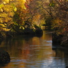 錦仙峡の紅葉1