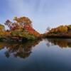 大雪高原温泉の紅葉4