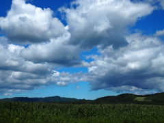 とうきび畑の夏空