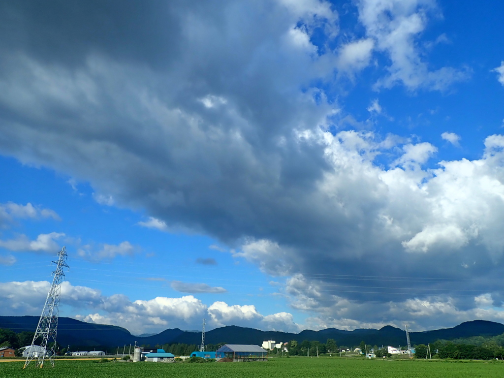 わた雲と夏空