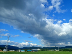 わた雲と夏空