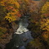 錦仙峡の紅葉2