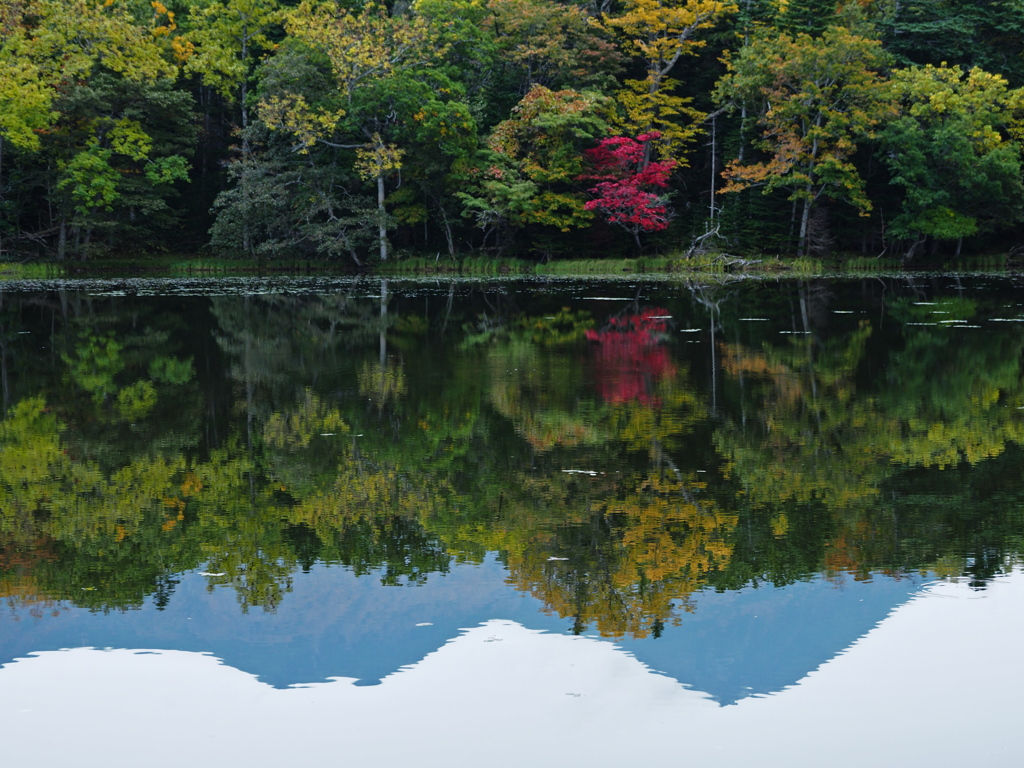 湖面の紅葉と知床連山