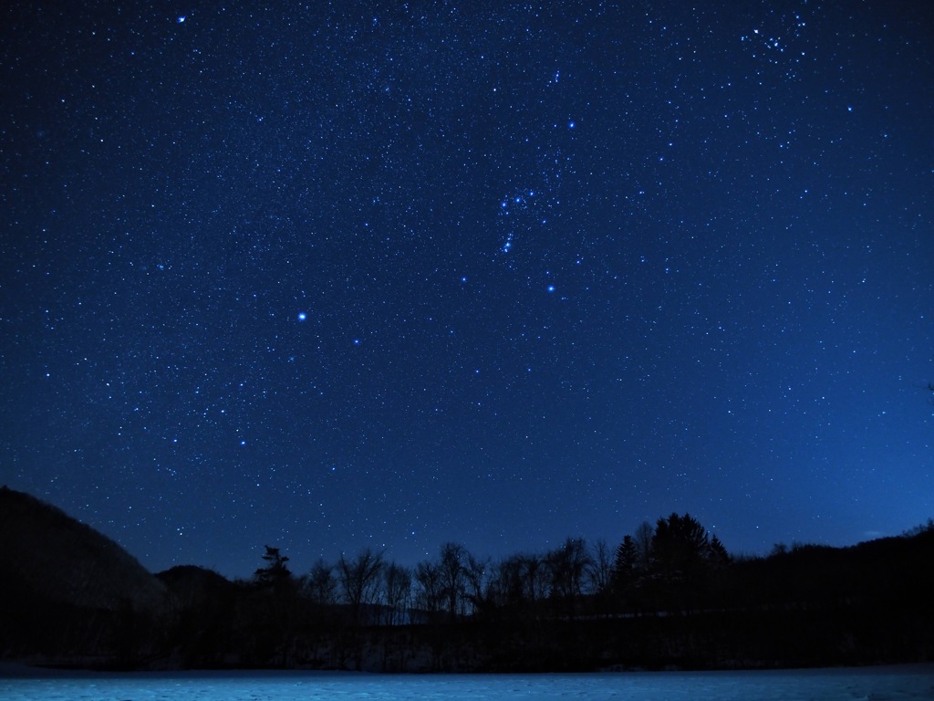 雪原の星