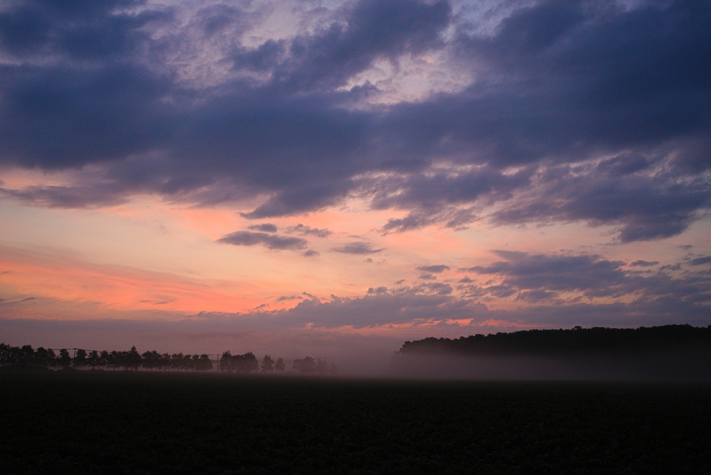 朝靄の農景