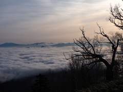 屈斜路の雲海