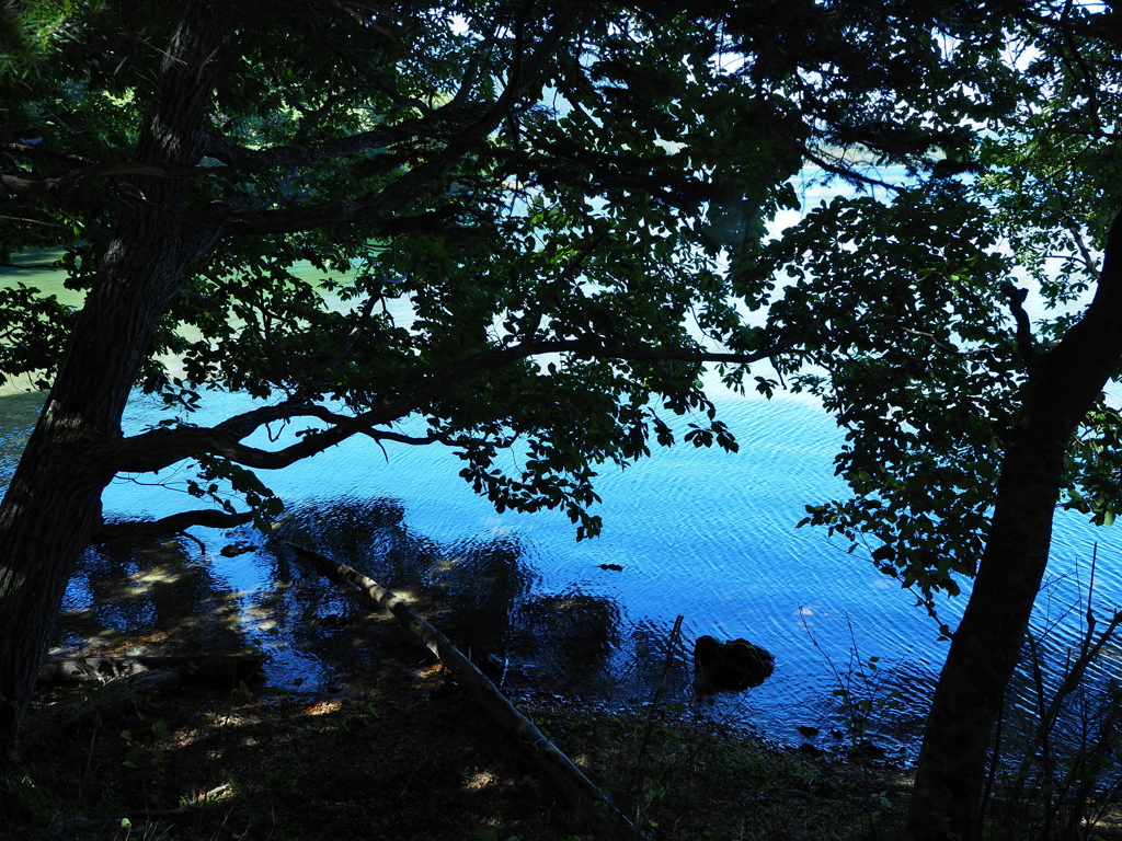 阿寒's blue