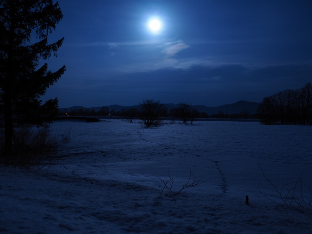 ある日の月夜