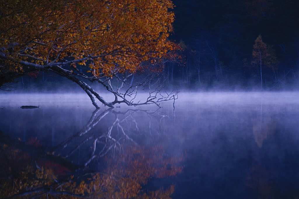 紅葉と湖霧