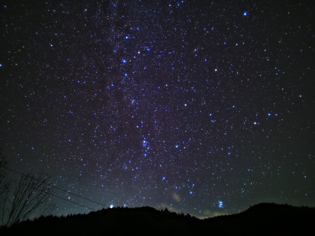 北の星座達