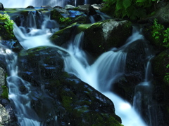 知床 参段の滝 初夏