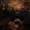 大田黒公園