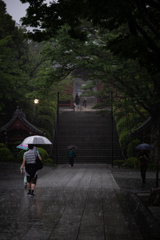 雨の神齢山悉地院大本山護國寺