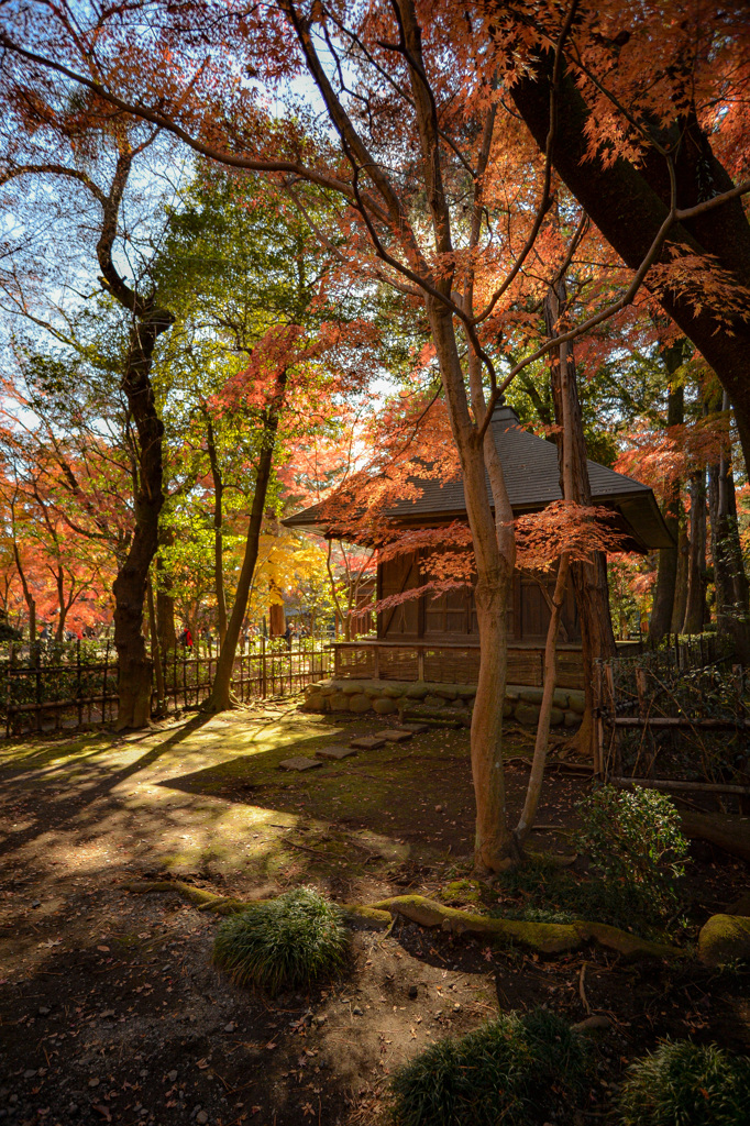 金鳳山 平林寺