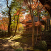 金鳳山 平林寺