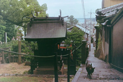猫の町