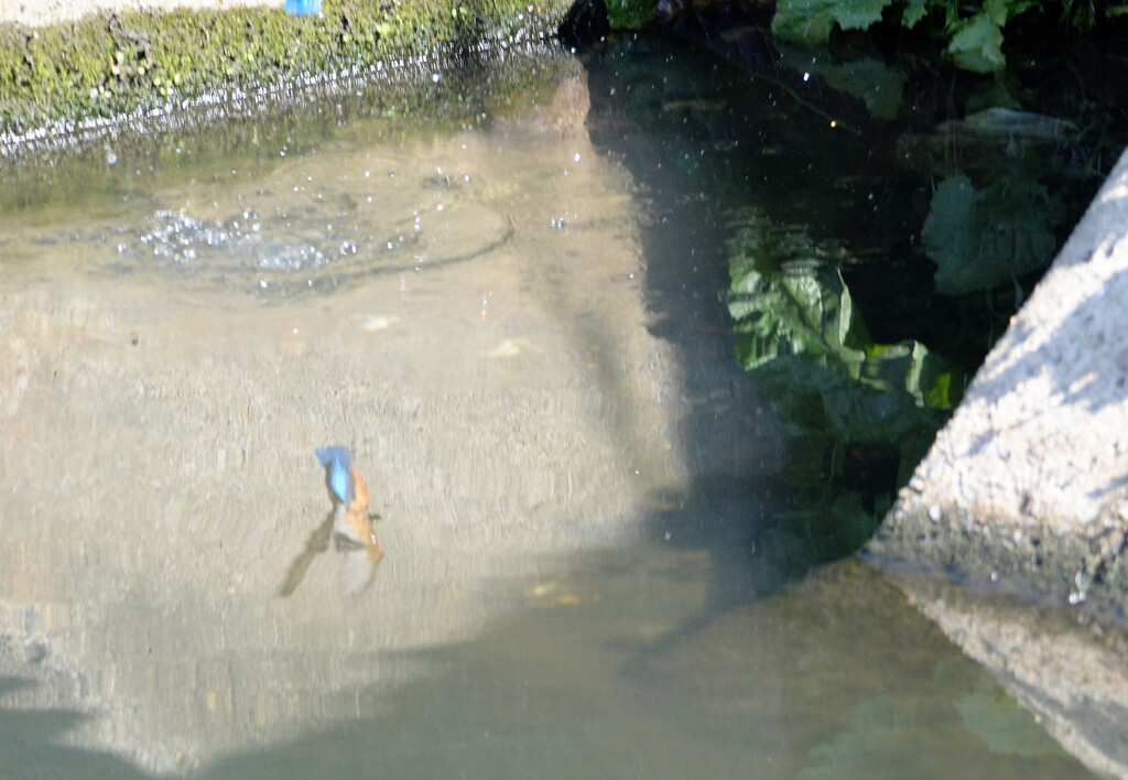 水面反射