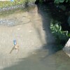 水面反射