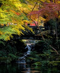成田山公園　