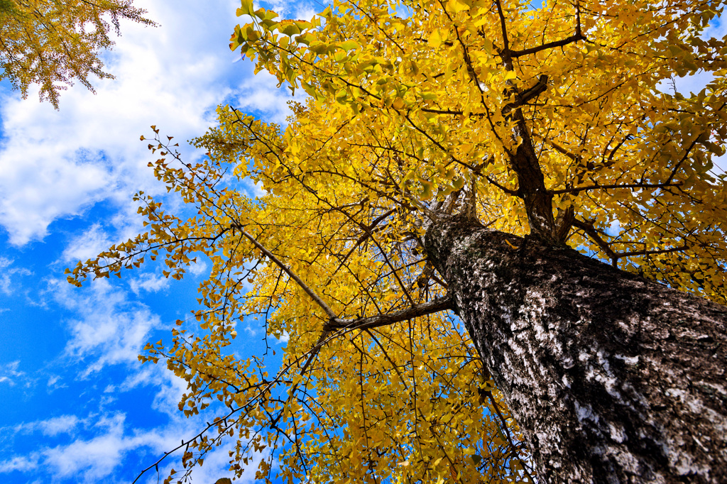 Reeling in the years