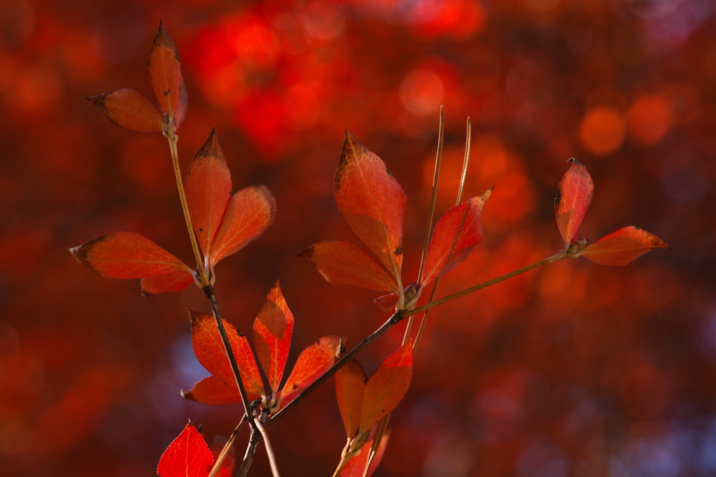 Breaking Up Is Hard to Do