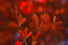 Breaking Up Is Hard to Do