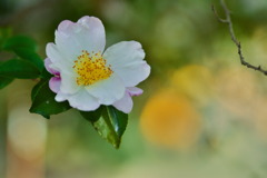 Another One Bites The Dust II