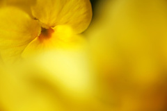 Solar