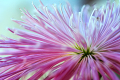 Peaceful Easy Feeling