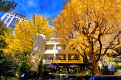 Scenes From an Italian Restaurant