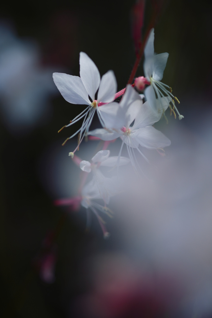 Synchronicity