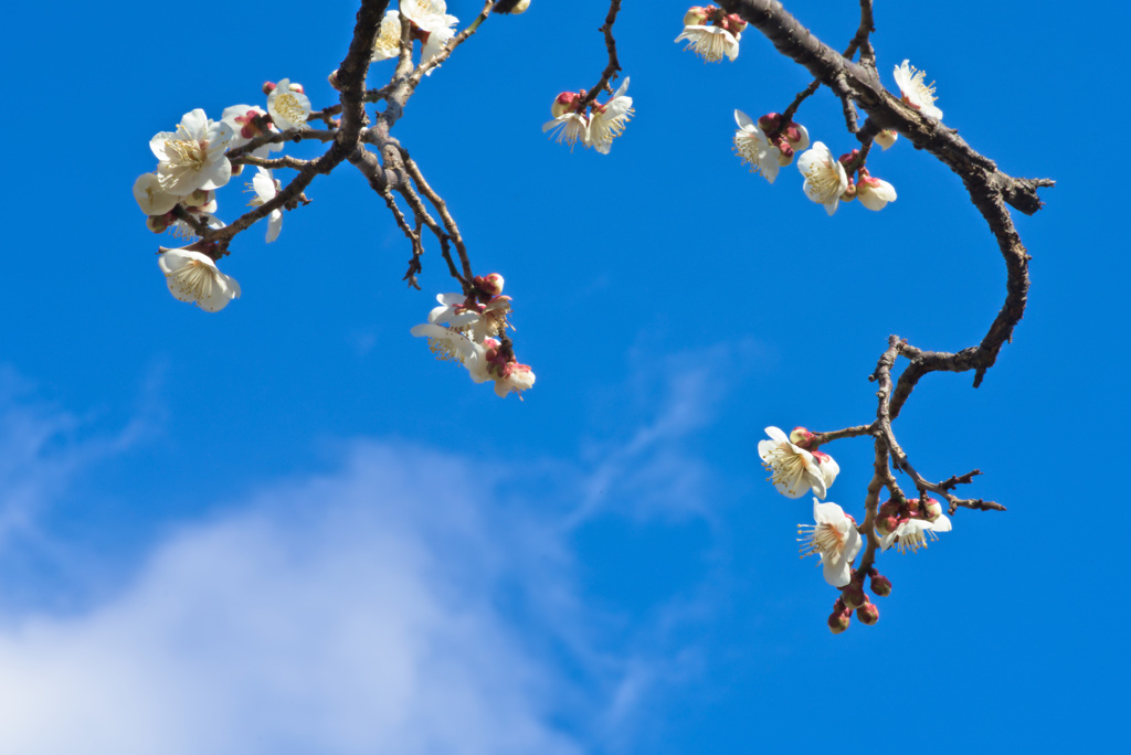 On a Clear Day ②