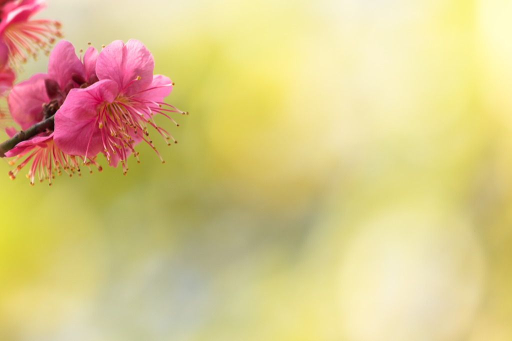 Spring Can Really Hang You Up The Most