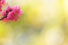 Spring Can Really Hang You Up The Most