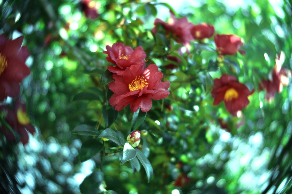 A Man Of Great Promise