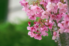 Any Colour You Like