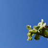 On a Clear Day 8