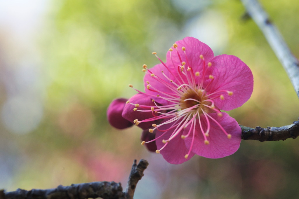 Smoke Gets In Your Eyes