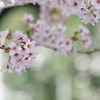 二人でお茶を