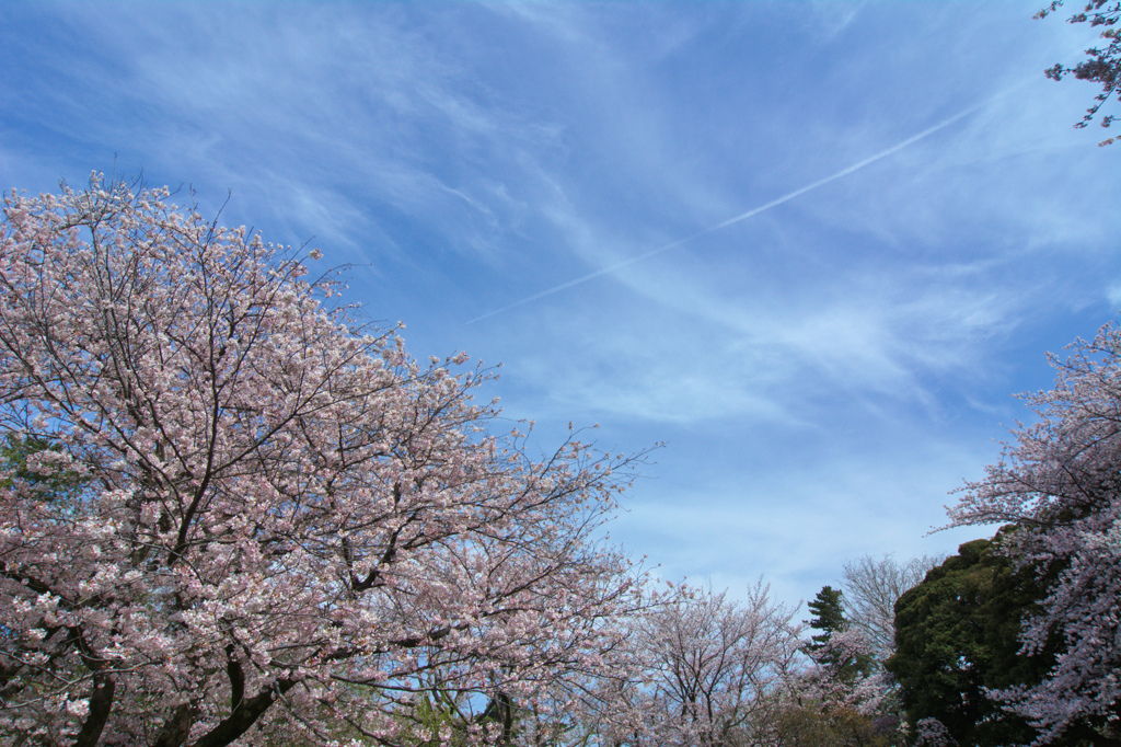 ひこうき雲 2