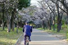 咲いてるとこもちらほら
